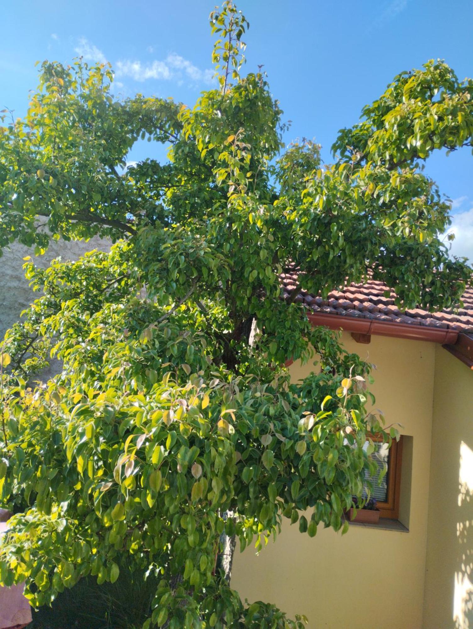 Malé útulné studio s koupelnou a kuchyňkou Svinarov Exterior foto